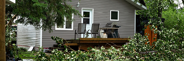 Piles of fallen trees and tree branches rest next to a backyard deck.